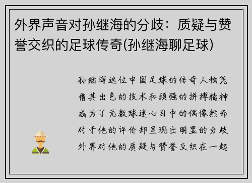 外界声音对孙继海的分歧：质疑与赞誉交织的足球传奇(孙继海聊足球)